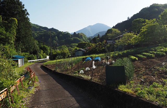 大川原集落