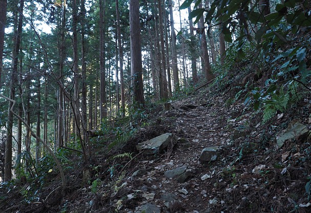 嵐山登山道