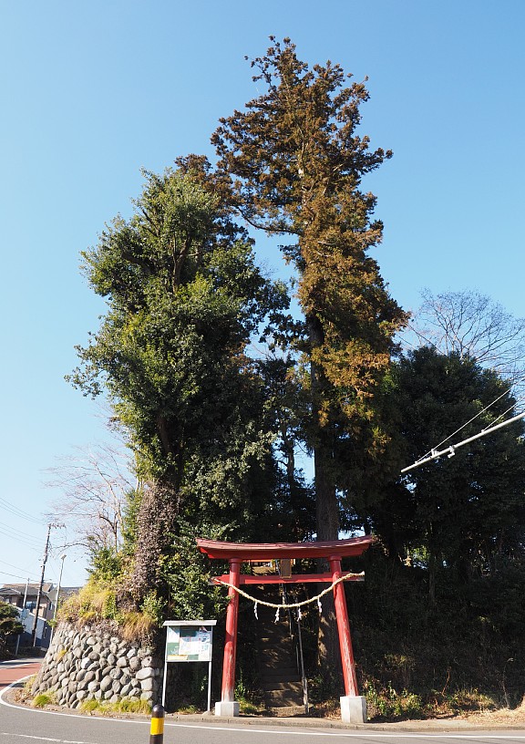 鼠坂八幡神社