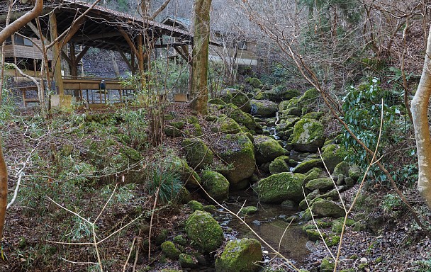 苔生す沢