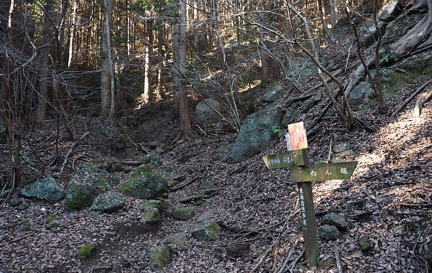 大明神山登山口