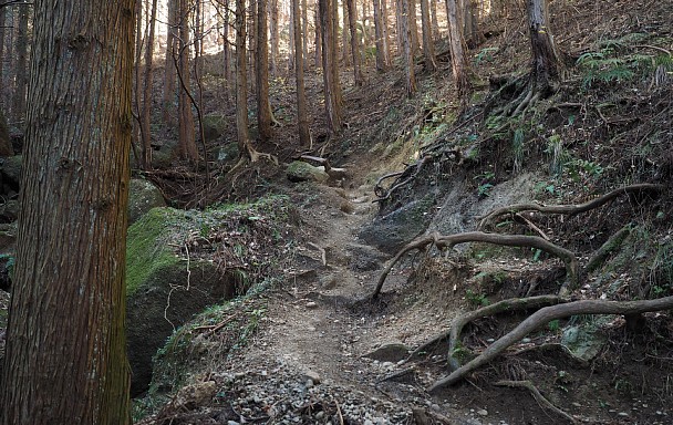 大明神山登山道