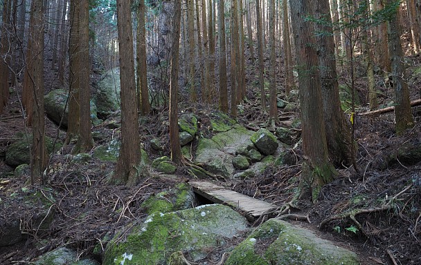 木橋