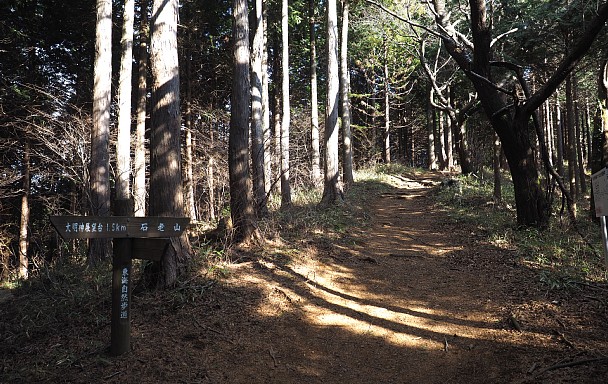 篠原・大明神分岐