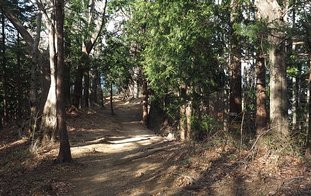下山路