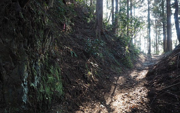 登山道