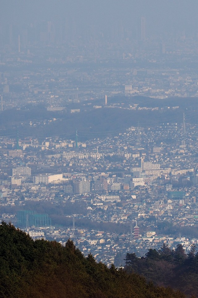 城山から東方