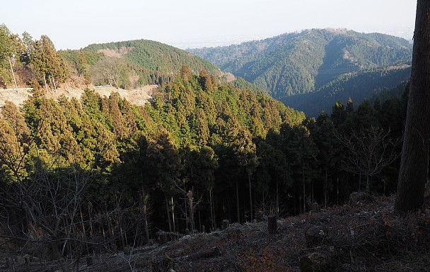 城山東斜面