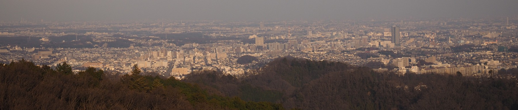 稲荷山展望台から東方