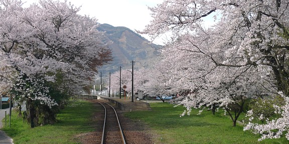 桜の谷汲口駅