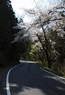 県道79号