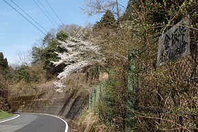 金坂峠