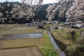 木倉集落