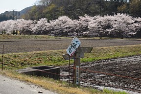 伊自良へ