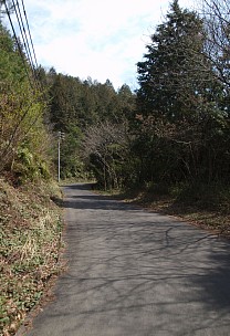 日の当たる林道