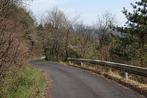 県道185号