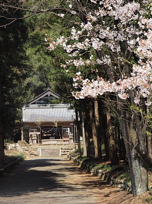 縣神社