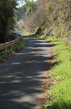 伊自良ダムへ上る道