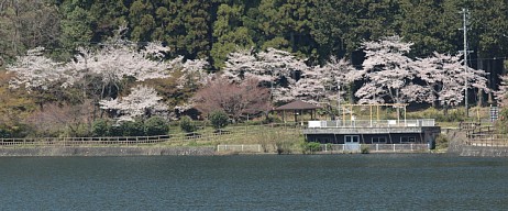 伊自良湖の公園