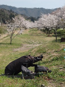 いのしし