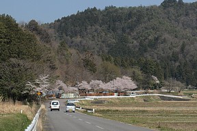 県道174号