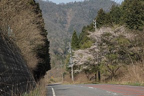 峠を下る