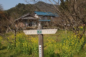 菜ノ花と道標