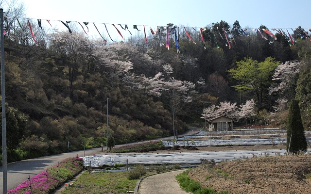 四国山公園