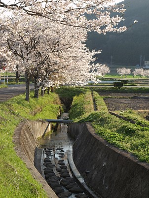 小川