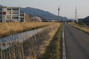 鳥羽川沿いの道