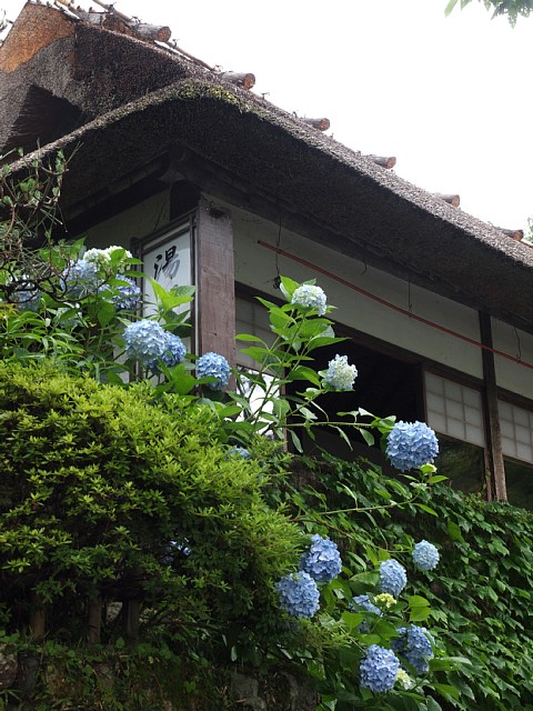 芙蓉園本館