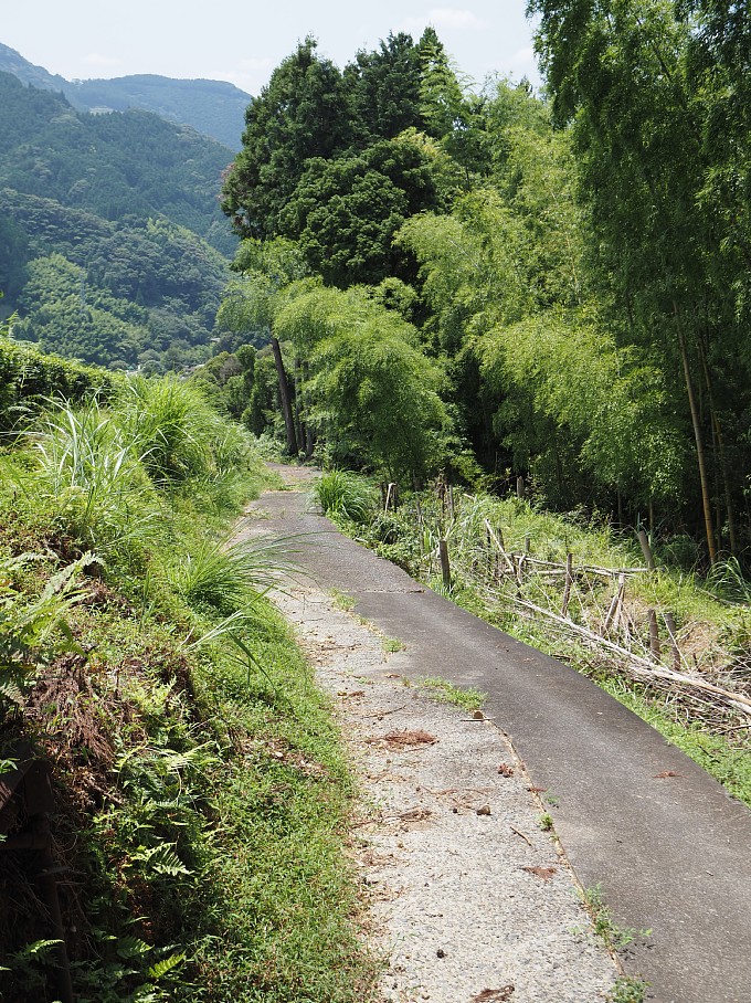 開放的な小道