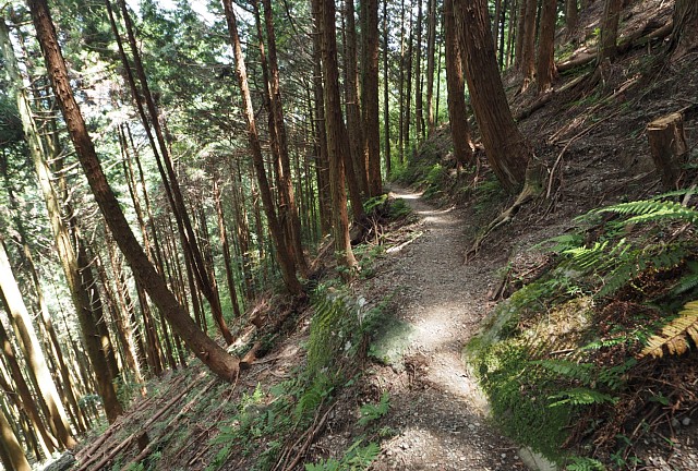 下山道