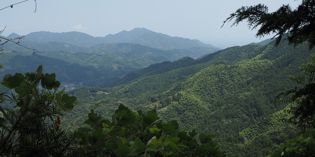 高草山