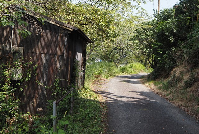 朝比奈川右岸の小道