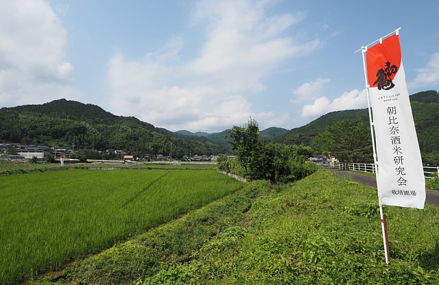 朝比奈酒米研究会栽培園場