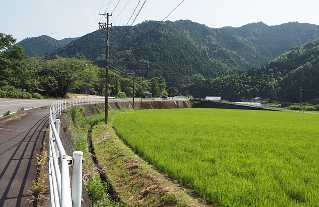 県道209号