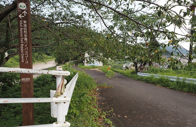 右岸遊歩道再び