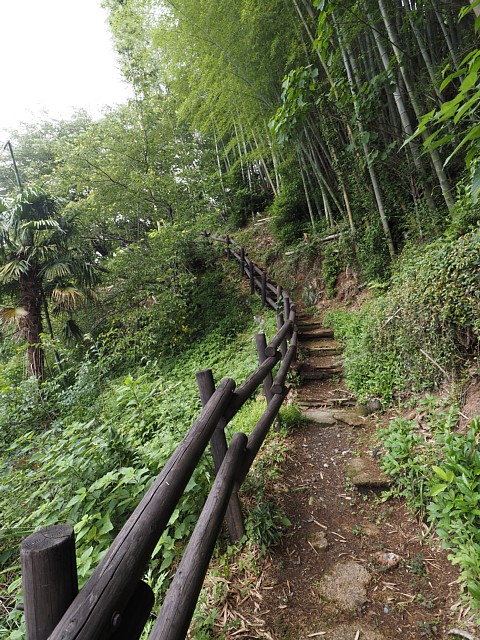傘懸松登山道