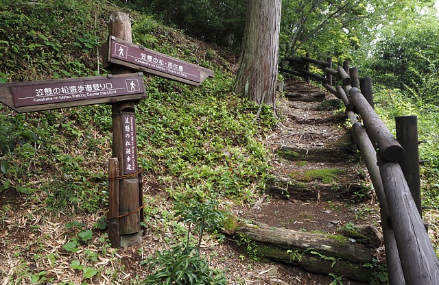 傘懸の松遊歩道