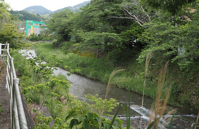 岡部川並走