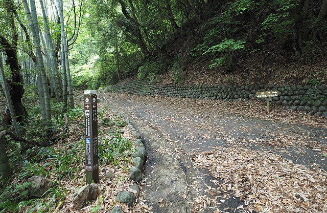 旧東海道分岐
