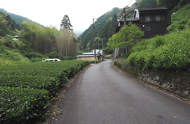 逆川集落