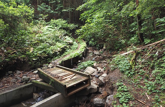 沢沿いの山道へ