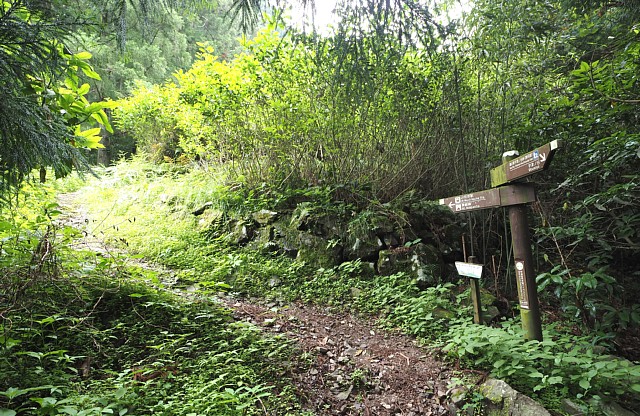 満観峰登山道