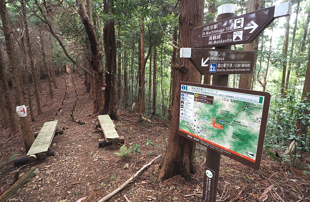 舟川分岐