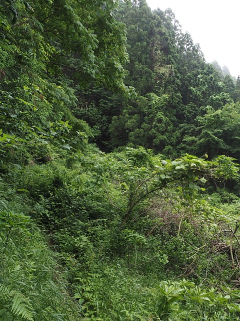 埋没