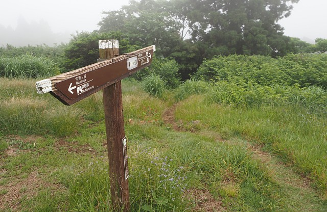 下山道標