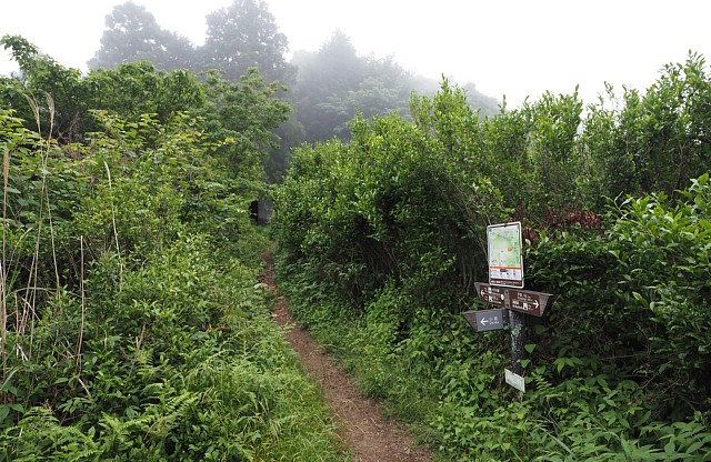 小坂分岐