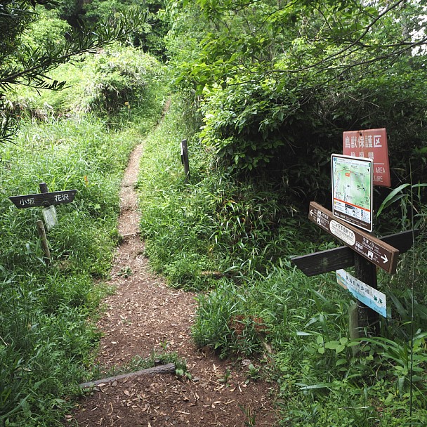 日本坂峠